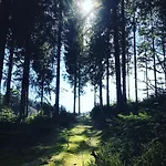 Alt Monschau