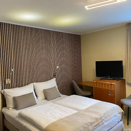 Hotel Alt 3*
