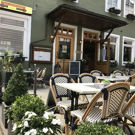 阿尔特蒙特约酒店 3*