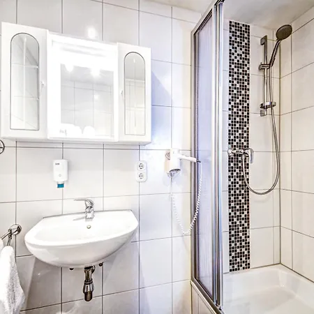 Hotel Alt 3*