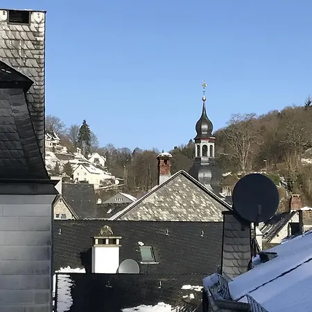 阿尔特蒙特约酒店 3*