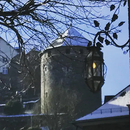 阿尔特蒙特约酒店 酒店 3*